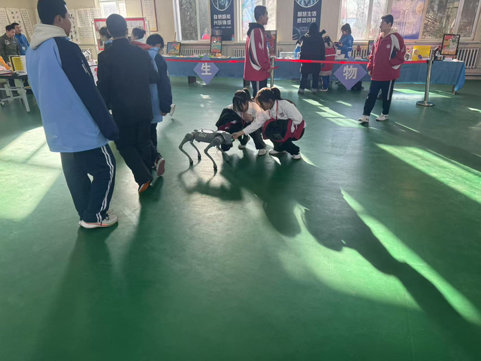 图片3